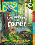 Images doc (Paris), 374 - 02/2020 - Qui se cache dans la jungle ?