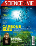 La Science et la vie (Paris), 1243 - 04/2021 - Carbone bleu : L'océan sauvera-t-il la planète ?